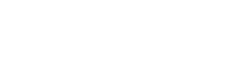 bnesim logo